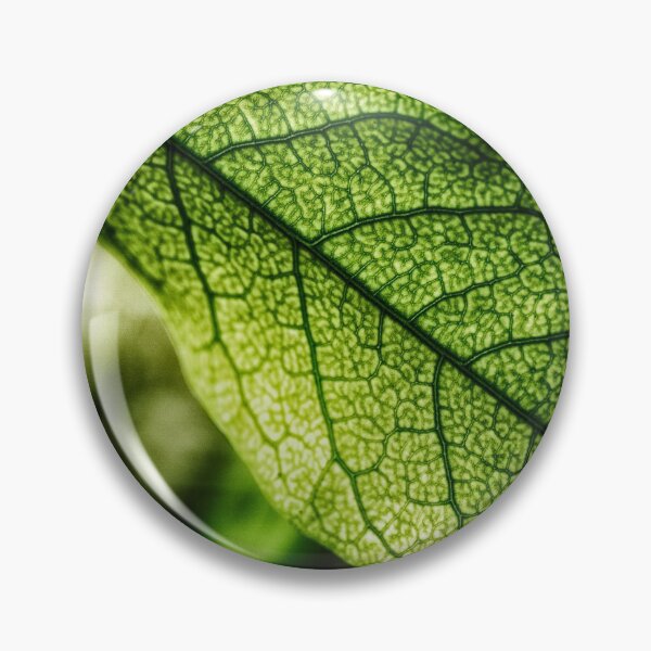 Item preview, Green Leaf Veins designed and sold by FOLK ART FUSION by heidiannemorris.