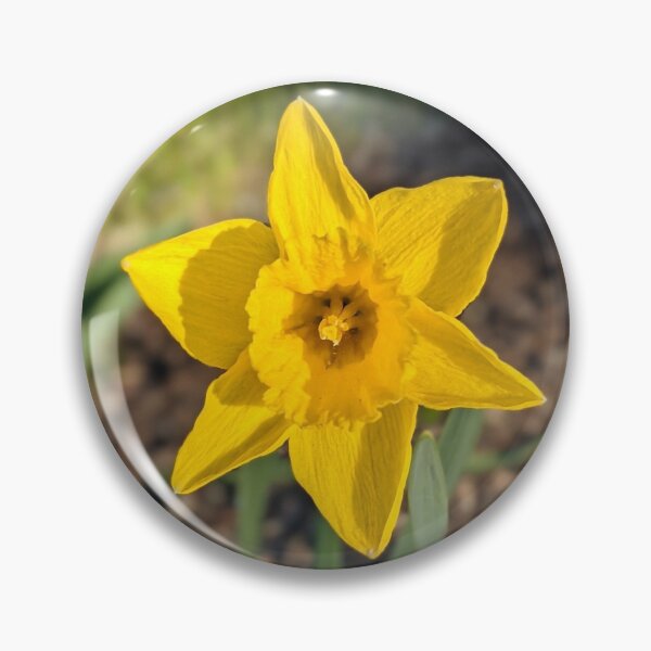Item preview, Single Daffodil Standing Watch designed and sold by EmbersDaylight.