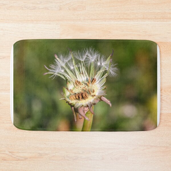 Item preview, Clinging on designed and sold by GreyFeatherPhot.
