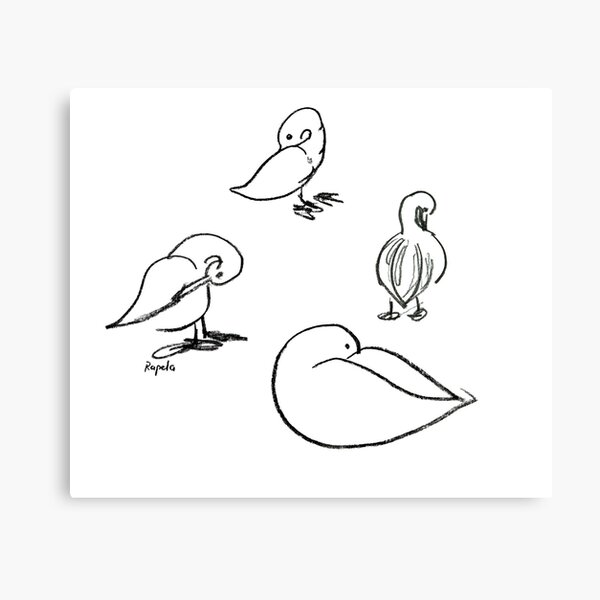 Four ducks Canvas Print