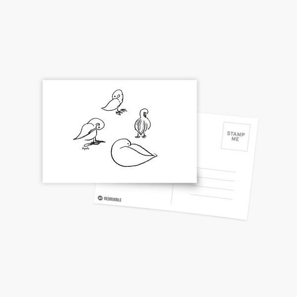 Four ducks Postcard