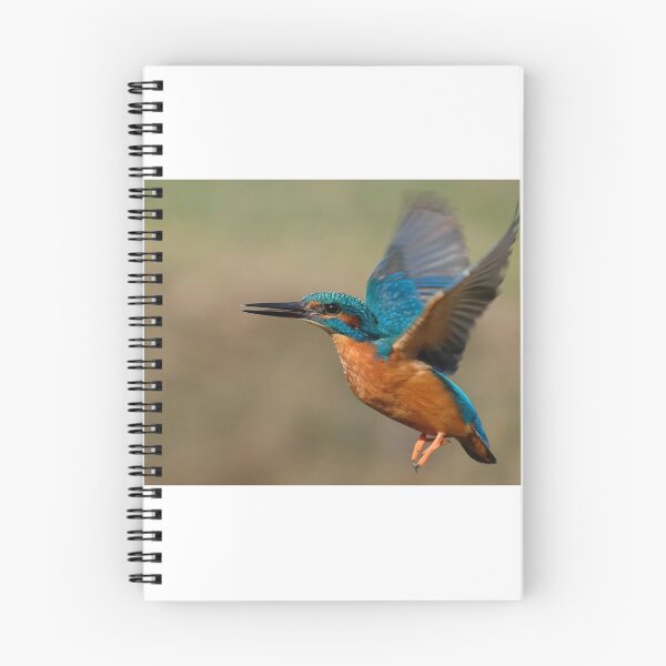 Item preview, Kingfisher designed and sold by Gez Robinson.