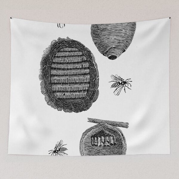 Item preview, Hornets Nest Science Illustration designed and sold by encyclo-art.