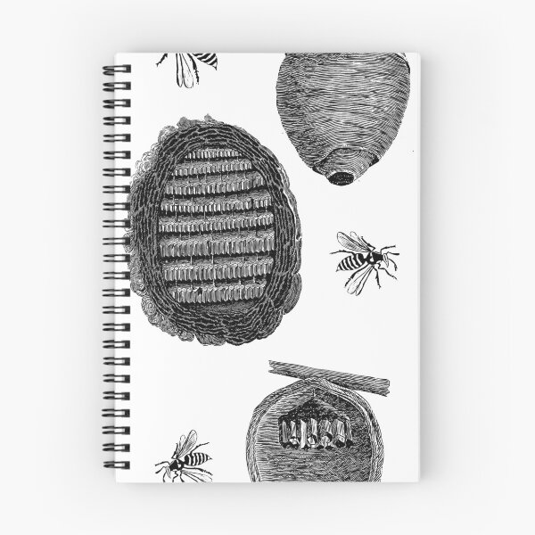 Item preview, Hornets Nest Science Illustration designed and sold by encyclo-art.
