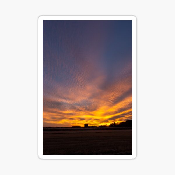 Autumn sunrise Sticker