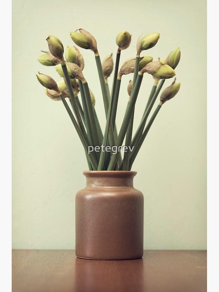 Day 276 - 11th April 2012 by petegrev