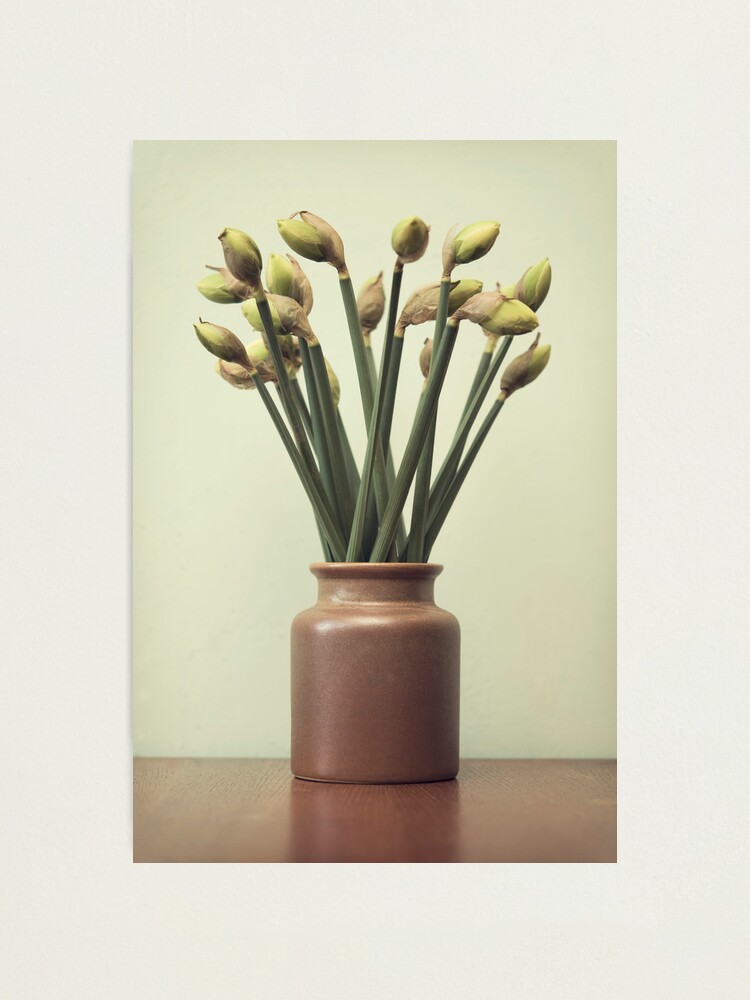 Alternate view of Day 276 - 11th April 2012 Photographic Print