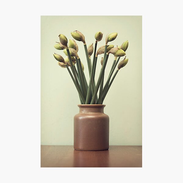 Photographic Print