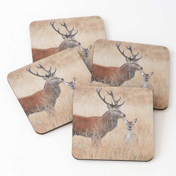 Item preview, Red Deer Stag and Hind designed and sold by Gez Robinson.
