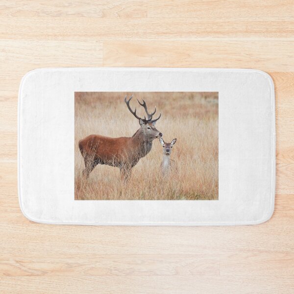 Artikelvorschau, Red Deer Stag und Hind entworfen und verkauft von Gez Robinson.