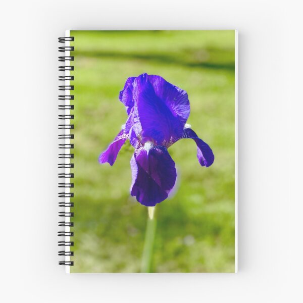 Artikelvorschau, Iris entworfen und verkauft von CWeathers.