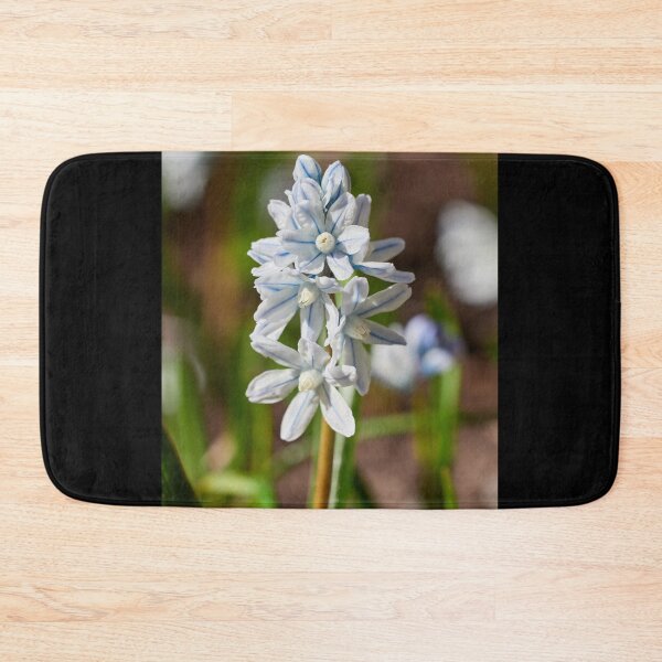 Item preview, White blue striped Scilla 1 designed and sold by Jouko Lehto Photography.