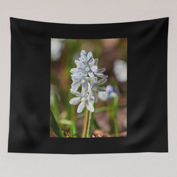Item preview, White blue striped Scilla 1 designed and sold by Jouko Lehto Photography.