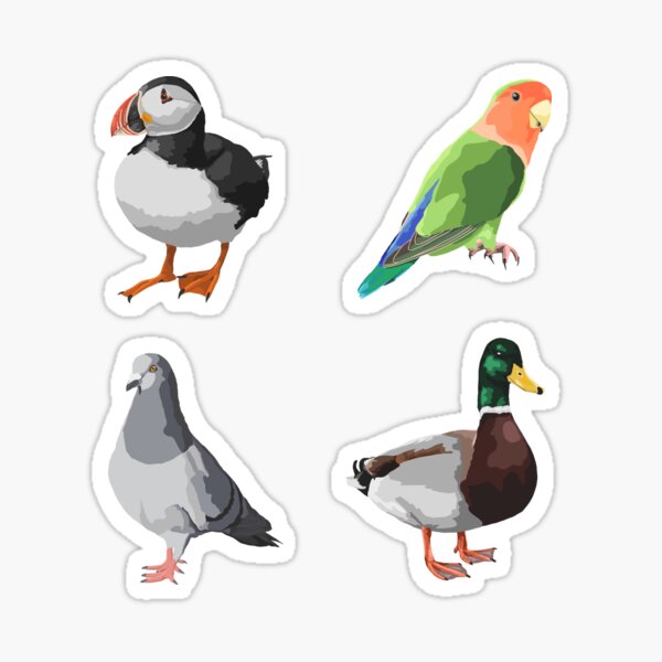 Cute Birds Sticker Pack Sticker