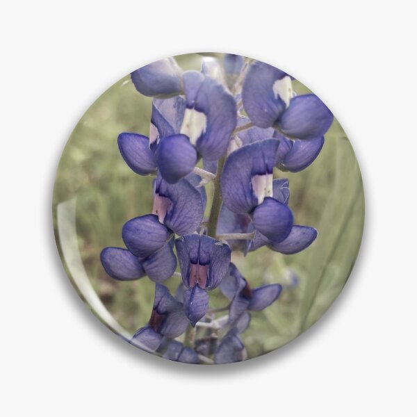 Item preview, Bluebonnet designed and sold by 57victor.