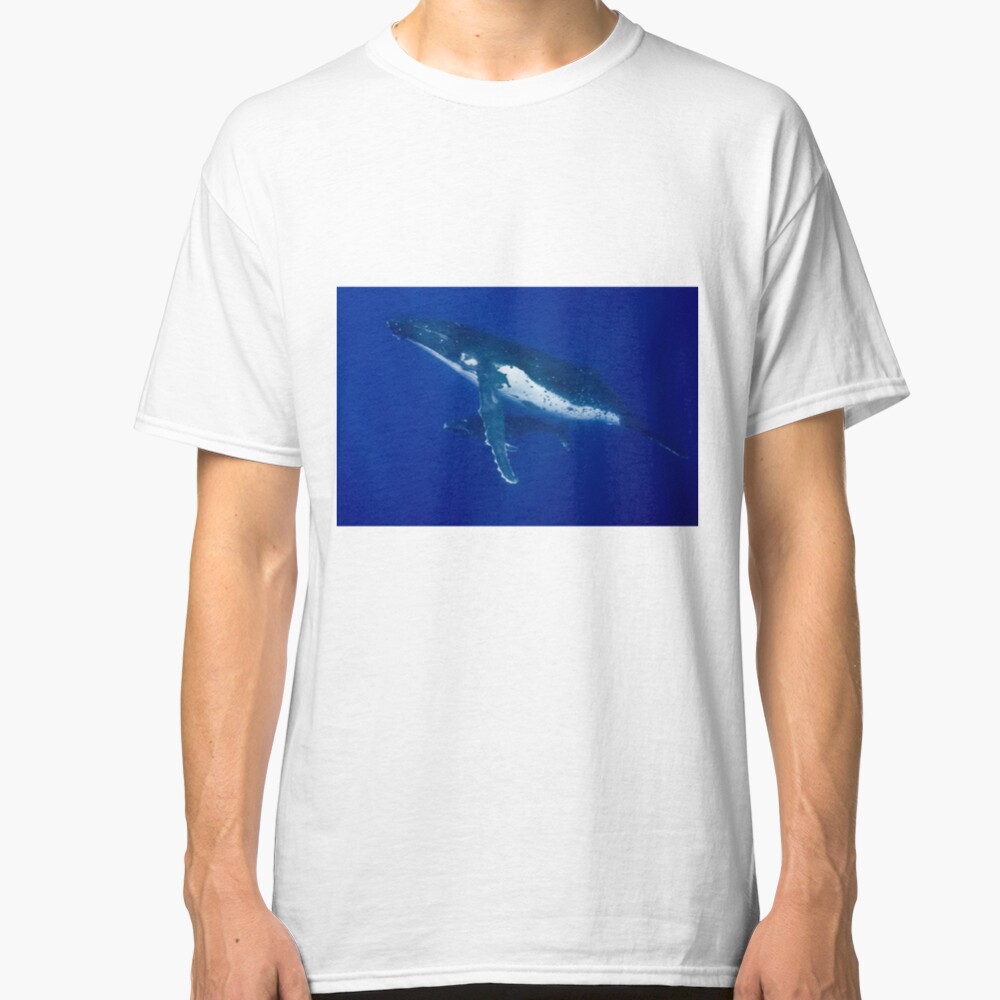 Humpback Whales, Vava'u, Tonga Classic T-Shirt