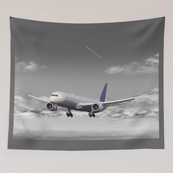 Item preview, Boeing 787 designed and sold by sibosssr.