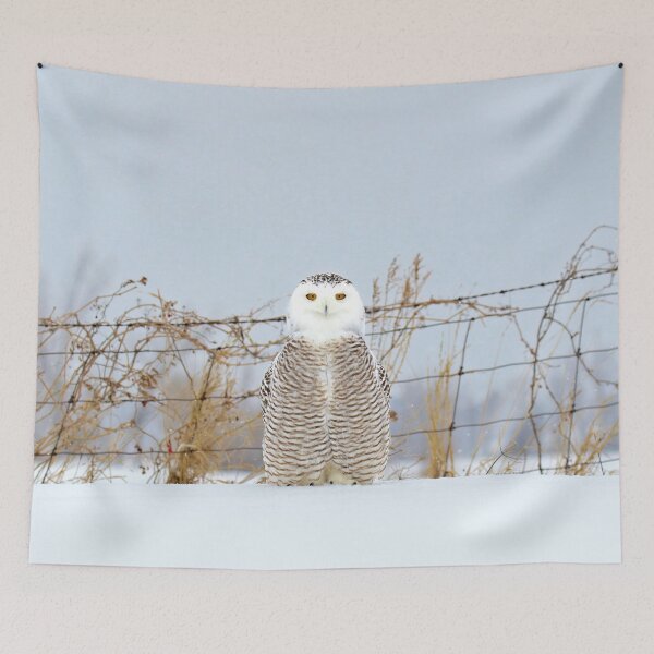 Item preview, Proud designed and sold by locustgirl.