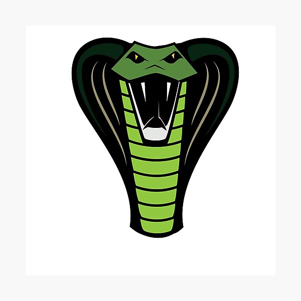 Venom angry snake Sticker for Sale by maghi213