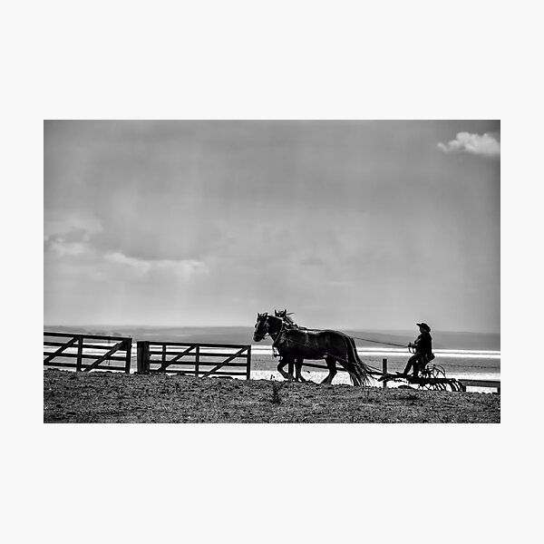 Ploughing the Field Photographic Print