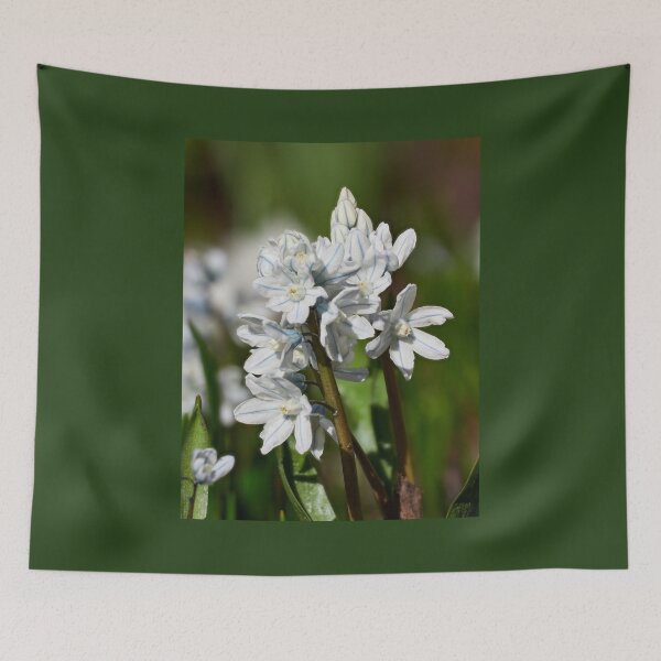 Item preview, White blue striped Scilla 2 designed and sold by Jouko Lehto Photography.