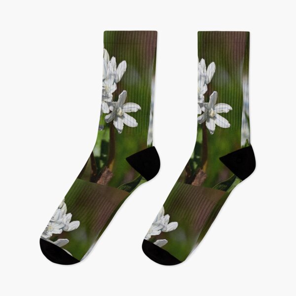 Item preview, White blue striped Scilla 2 designed and sold by Jouko Lehto Photography.