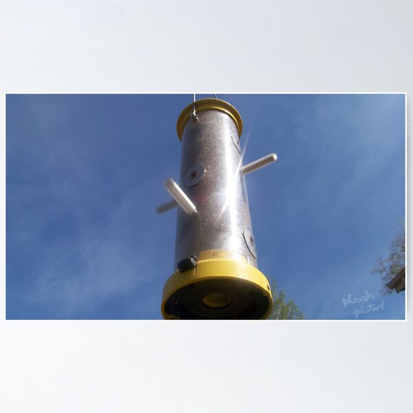 Item preview, feeding birds designed and sold by phreshphotos.