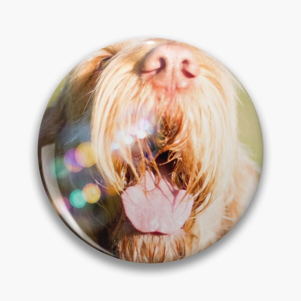 Artikelvorschau, Seifenblasen Spinone entworfen und verkauft von FOLK ART FUSION.