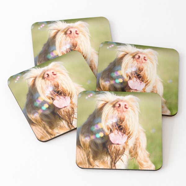 Artikelvorschau, Seifenblasen Spinone entworfen und verkauft von FOLK ART FUSION by heidiannemorris.