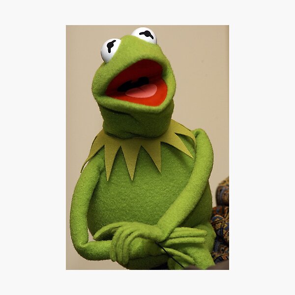 Kermit the Frog Photographic Print