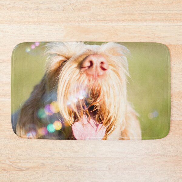Item preview, Soap bubbles Spinone designed and sold by FOLK ART FUSION by heidiannemorris.