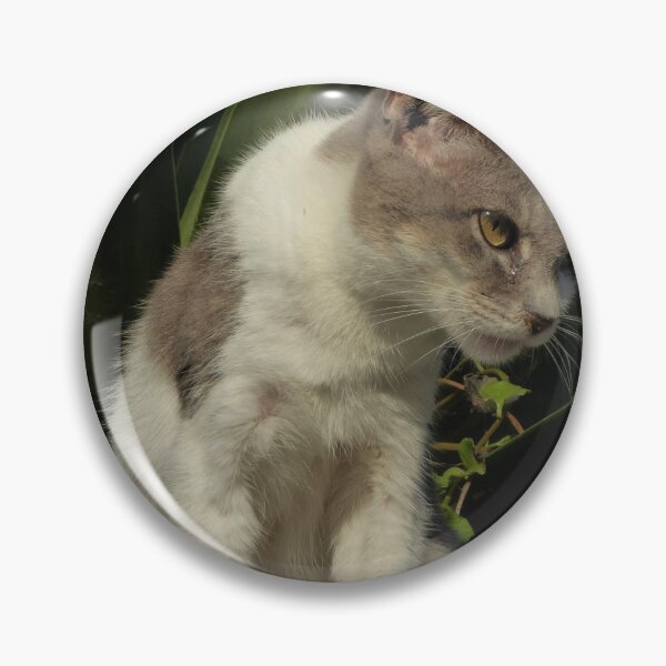 Item preview, cat duo designed and sold by Perggals© - Stacey Turner.