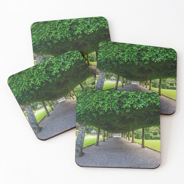 Item preview, Tree Canopy, Italian Garden, Glamis Castle, Scotland designed and sold by Yannik Hay.