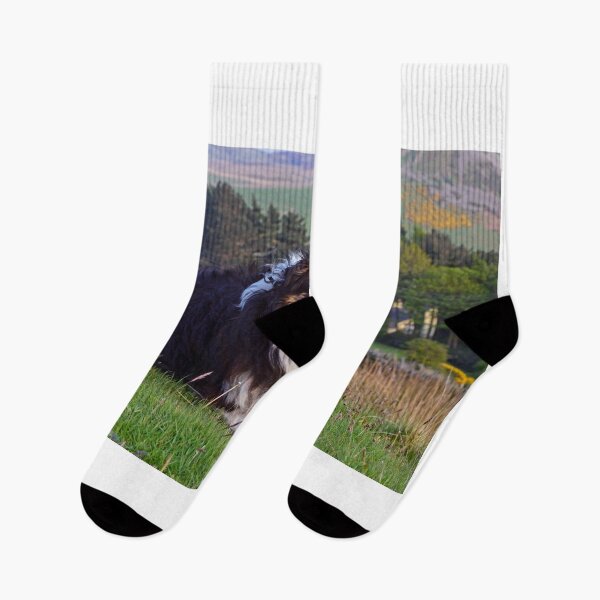 Item preview, High in the hills. designed and sold by Michael Haslam.