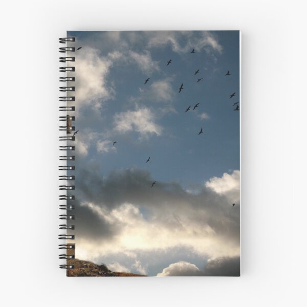 Item preview, "Flying Home" designed and sold by Raymond Kerr.