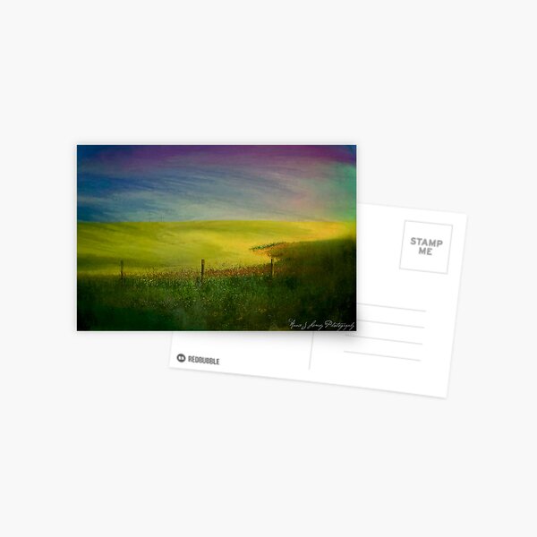 Canola Dreams Postcard