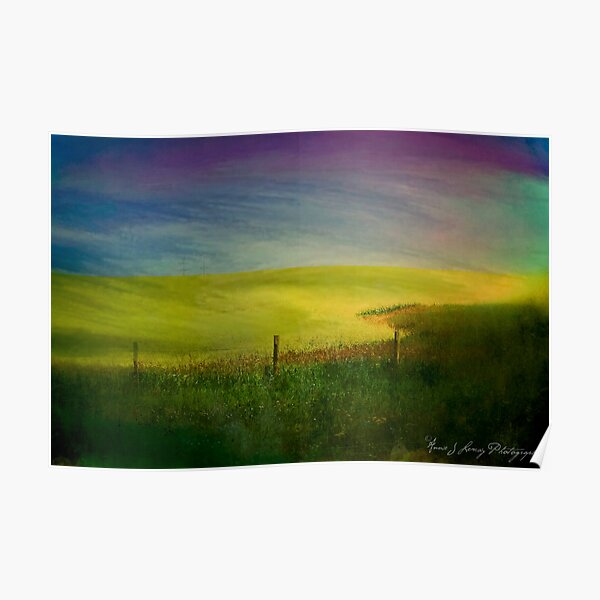 Canola Dreams Poster