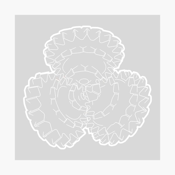 White Drill Photographic Print