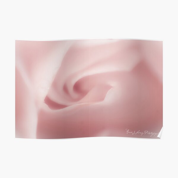Pink Poster