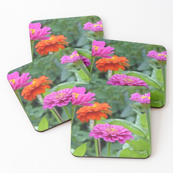 Item preview, Zinnias designed and sold by Frankie Cat Photography.