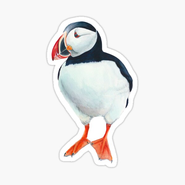 Handdrawn Puffin Pillow Case Iceland Souvenir Icelandic -  in