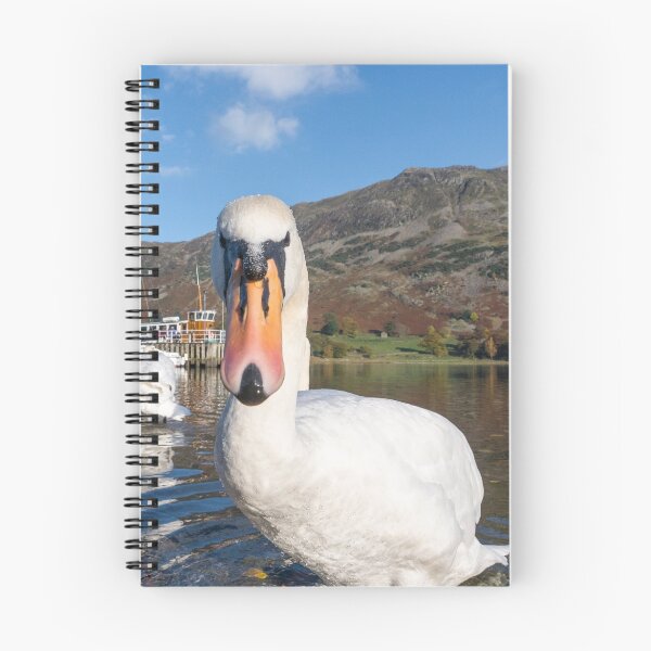 Item preview, Curious designed and sold by Gary Chadbond Photography.