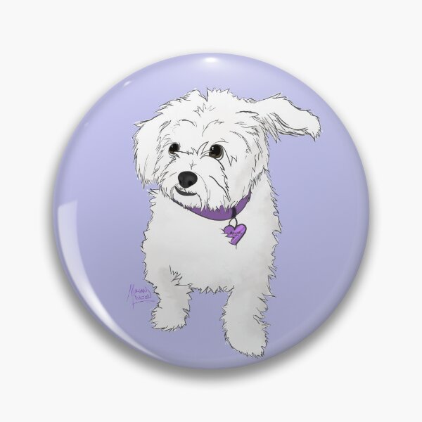 Maltipoo accessories clearance