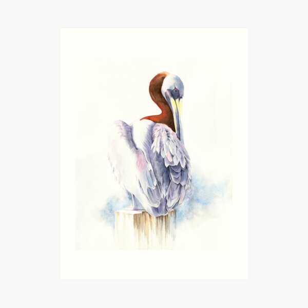 pelican watercolour portrait Art Print