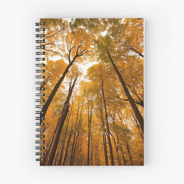 Item preview, "Autumn Tree Tops" designed and sold by RCNaturephotos.