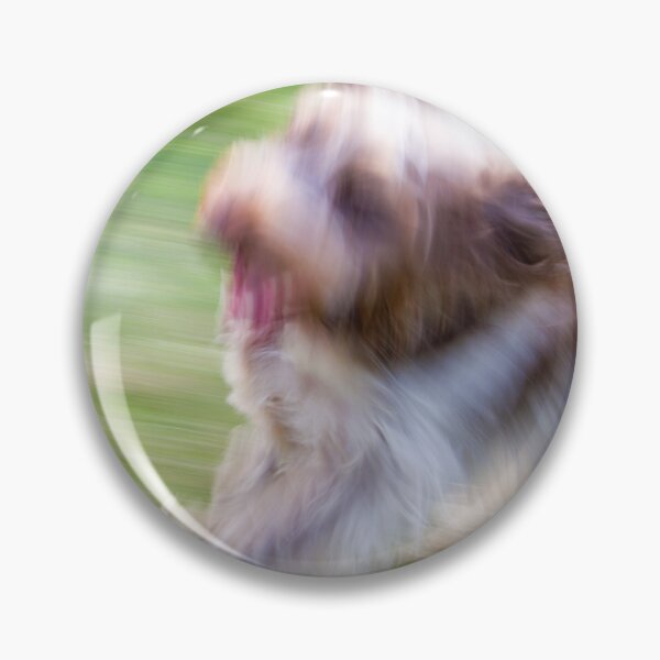 Item preview, Brown Roan Italian Spinone Dog in Action by heidiannemorris designed and sold by FOLK ART FUSION by heidiannemorris.