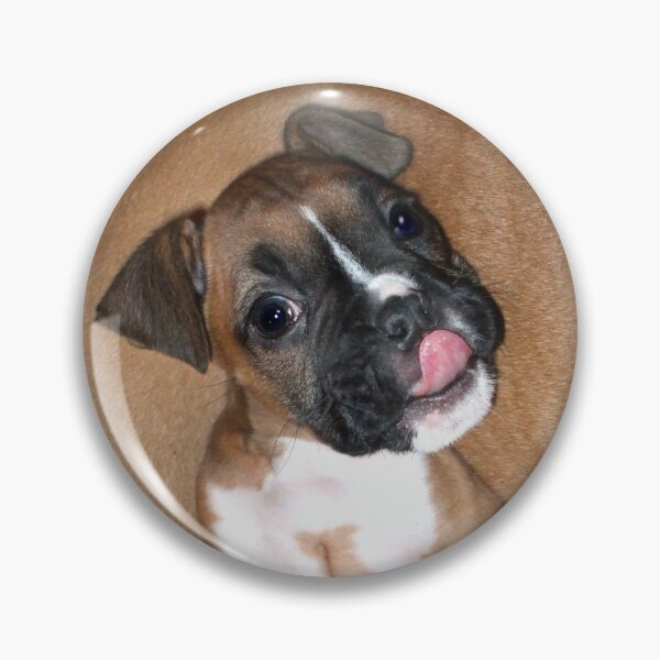 Item preview, Boxer puppy saying hi designed and sold by ritmoboxers.