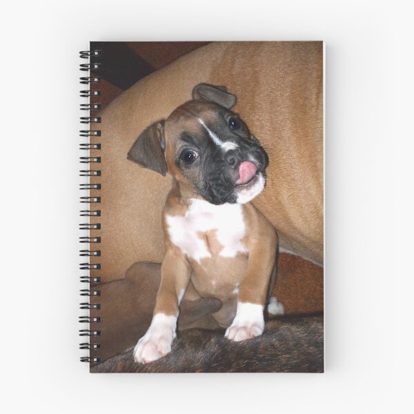 Item preview, Boxer puppy saying hi designed and sold by ritmoboxers.