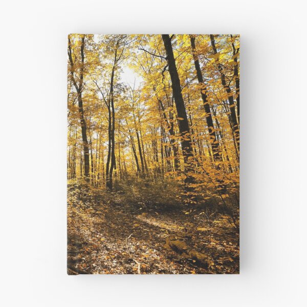 Item preview, "The Midas Touch" designed and sold by RCNaturephotos.