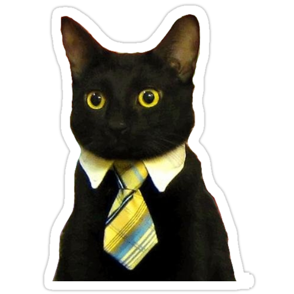  Business Cat  Stickers by adamrwhite Redbubble